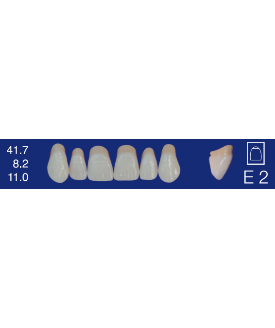 Biodent upper forms - Upper anterior