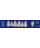 Biodent upper forms - Upper anterior