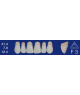 Biodent upper forms - Upper anterior