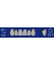 Biodent upper forms - Upper anterior