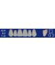 Biodent upper forms - Upper anterior