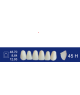 Biodent upper forms - Upper anterior